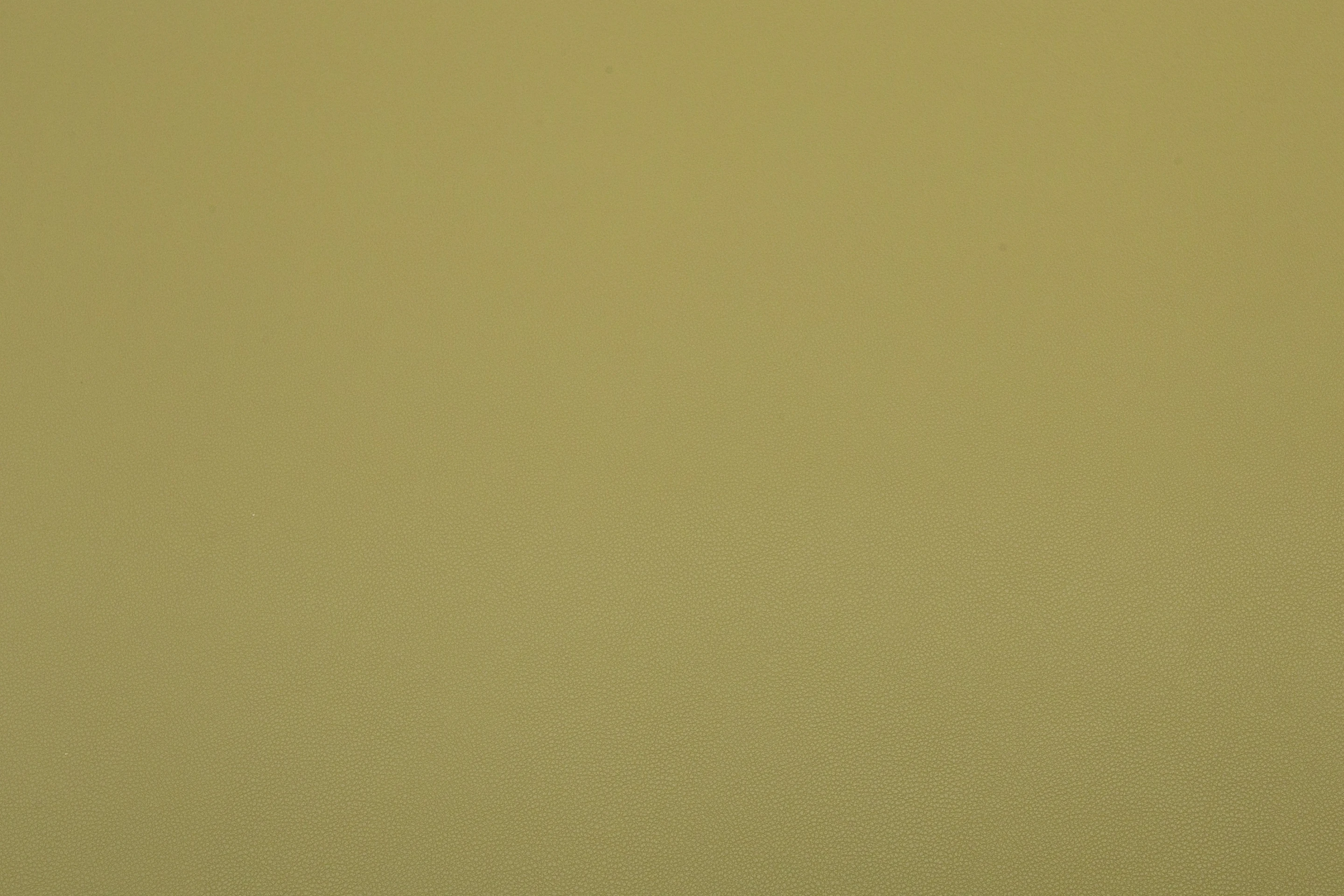 VT SLIM SF BELIZE MOSS 640791