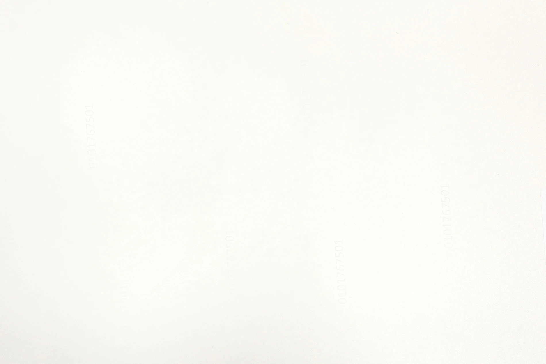 VT SKIN SF NAPA VENICE BRANCO 610574