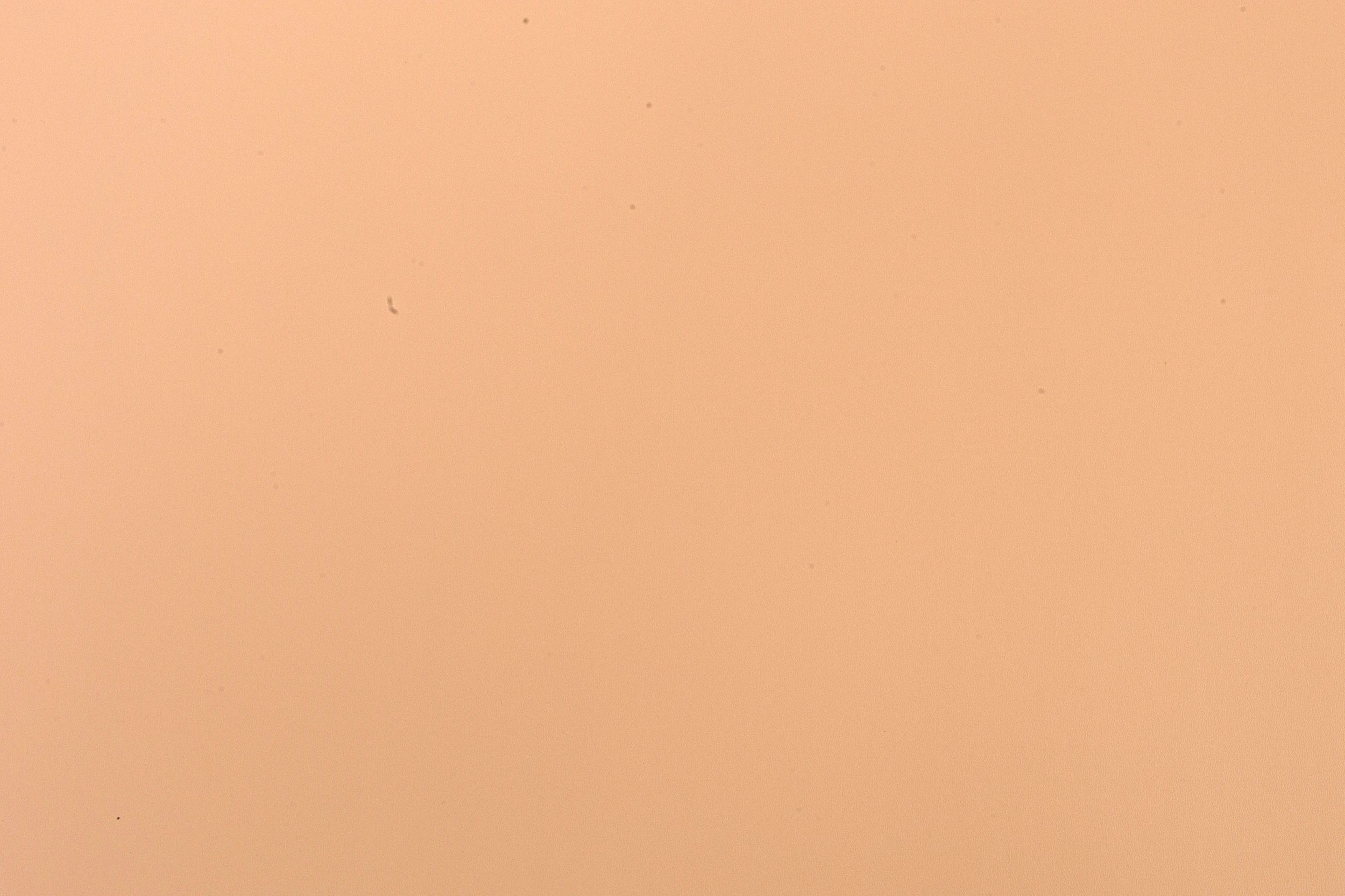 VT SLIM SF NAPA LEONA NECTAR 630667