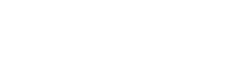 Venicel