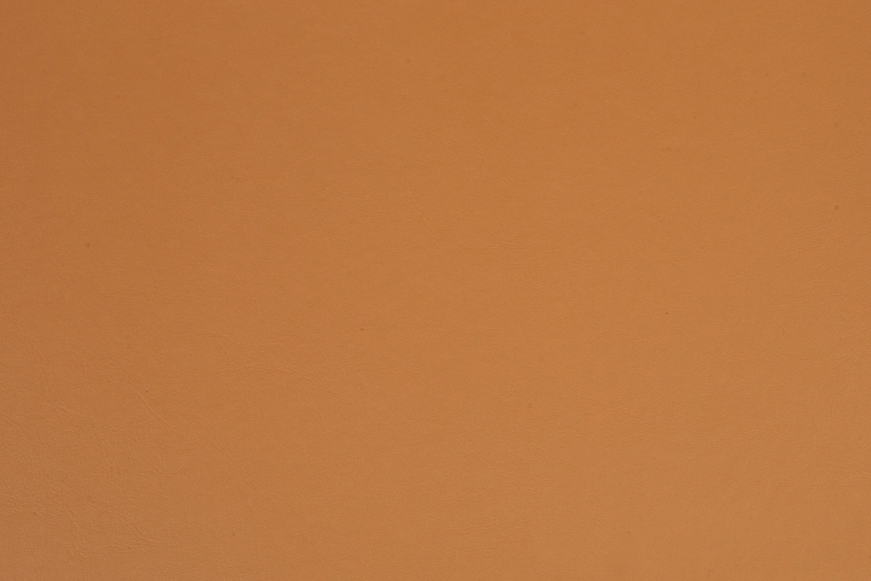 SHAMOY 1,50 COMANDER CAMEL 671128