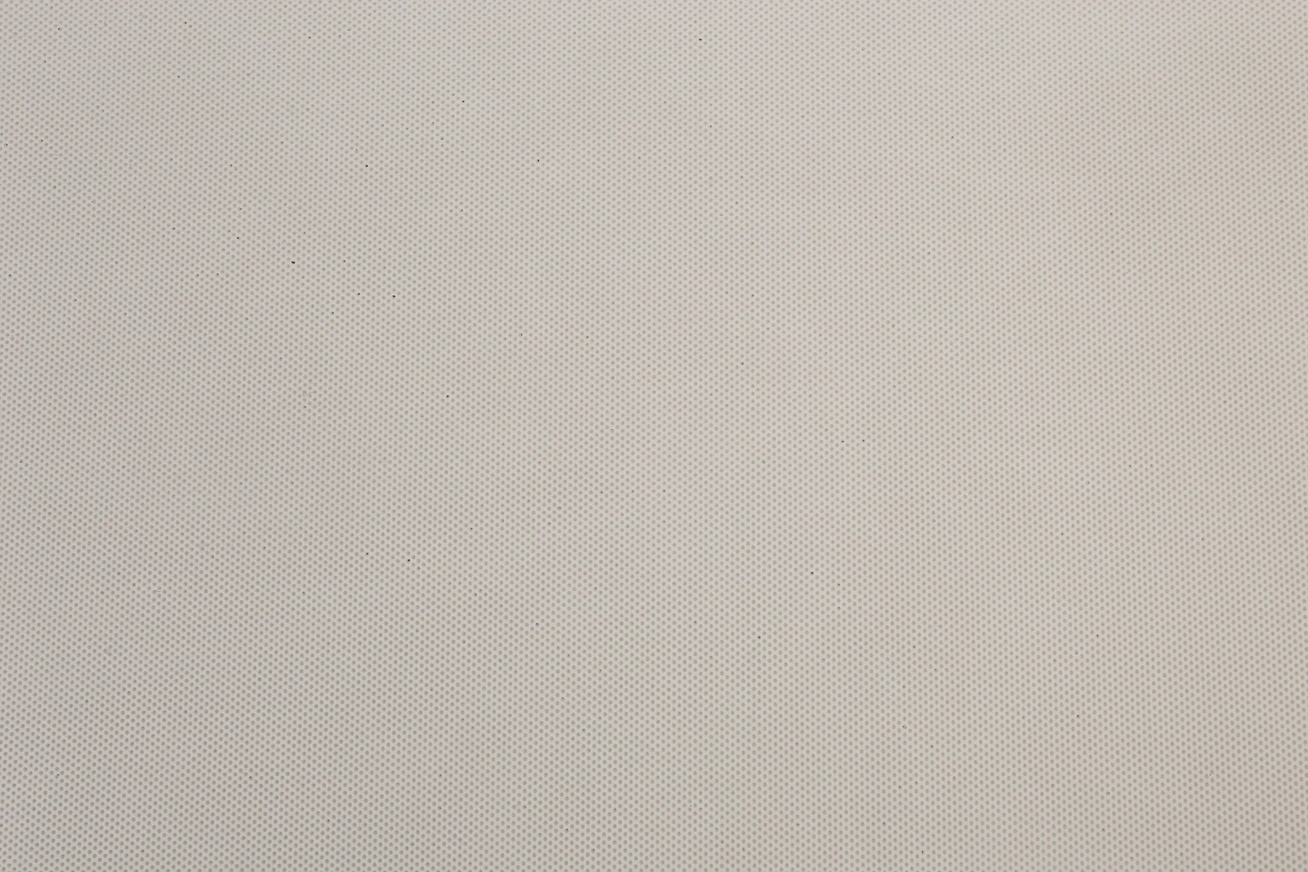 SHAMOY 1,50 OREGON NATURAL 610470