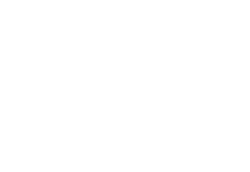 PRIME / PREMIUM