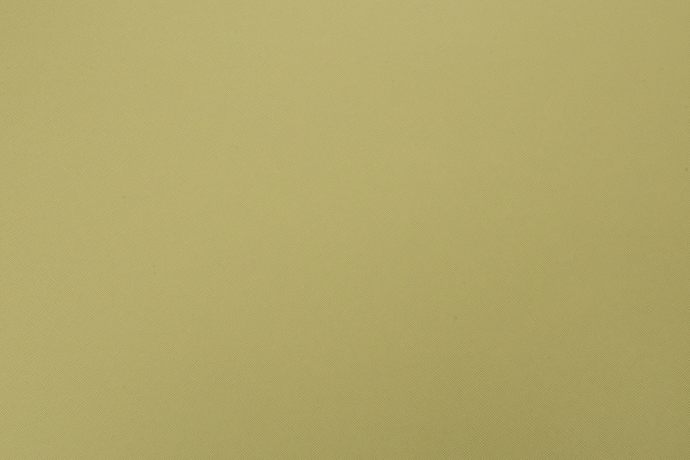 VT BAG SF SAFIANO MOSS 640791