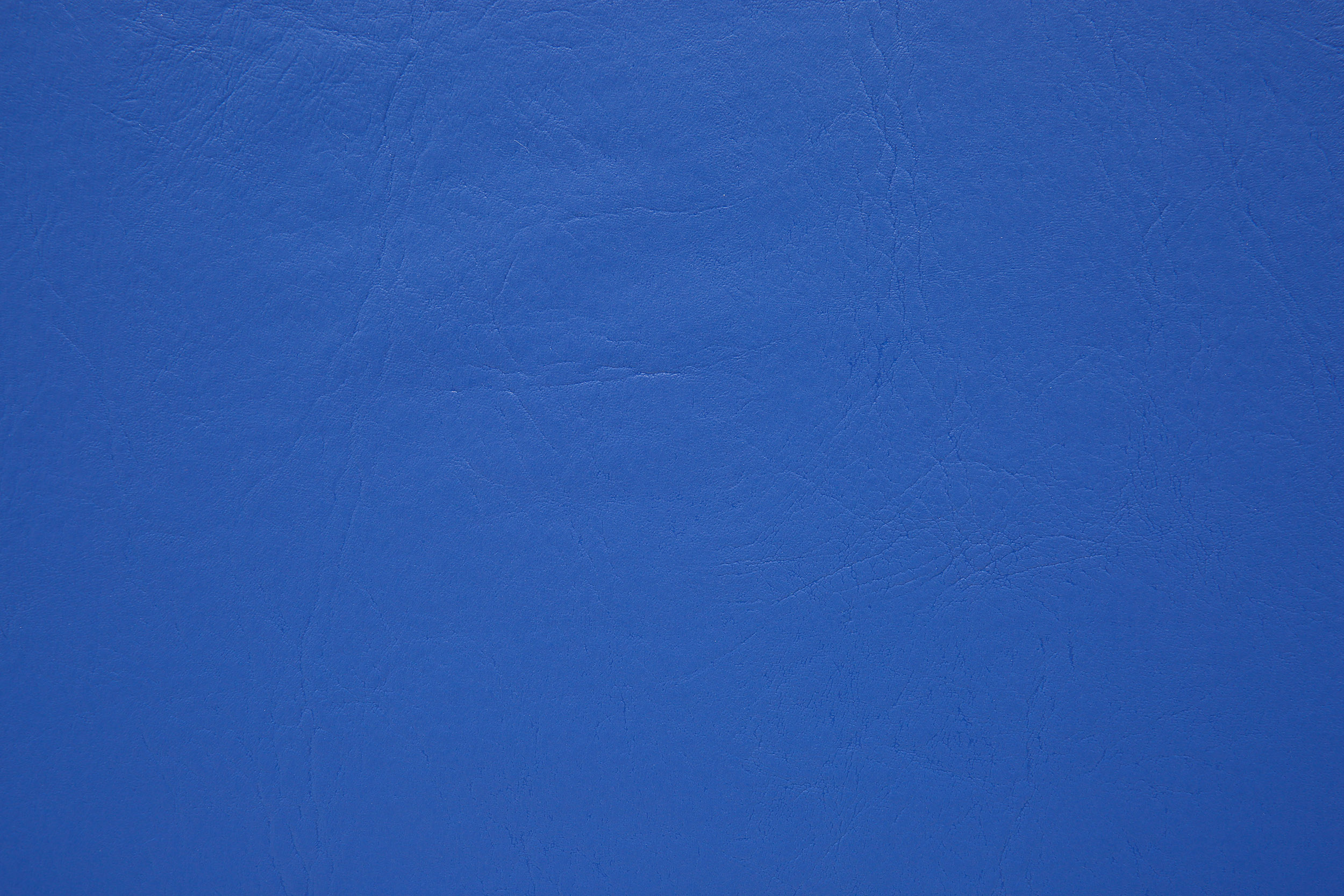 CIPAFLEX ANGUS AZUL