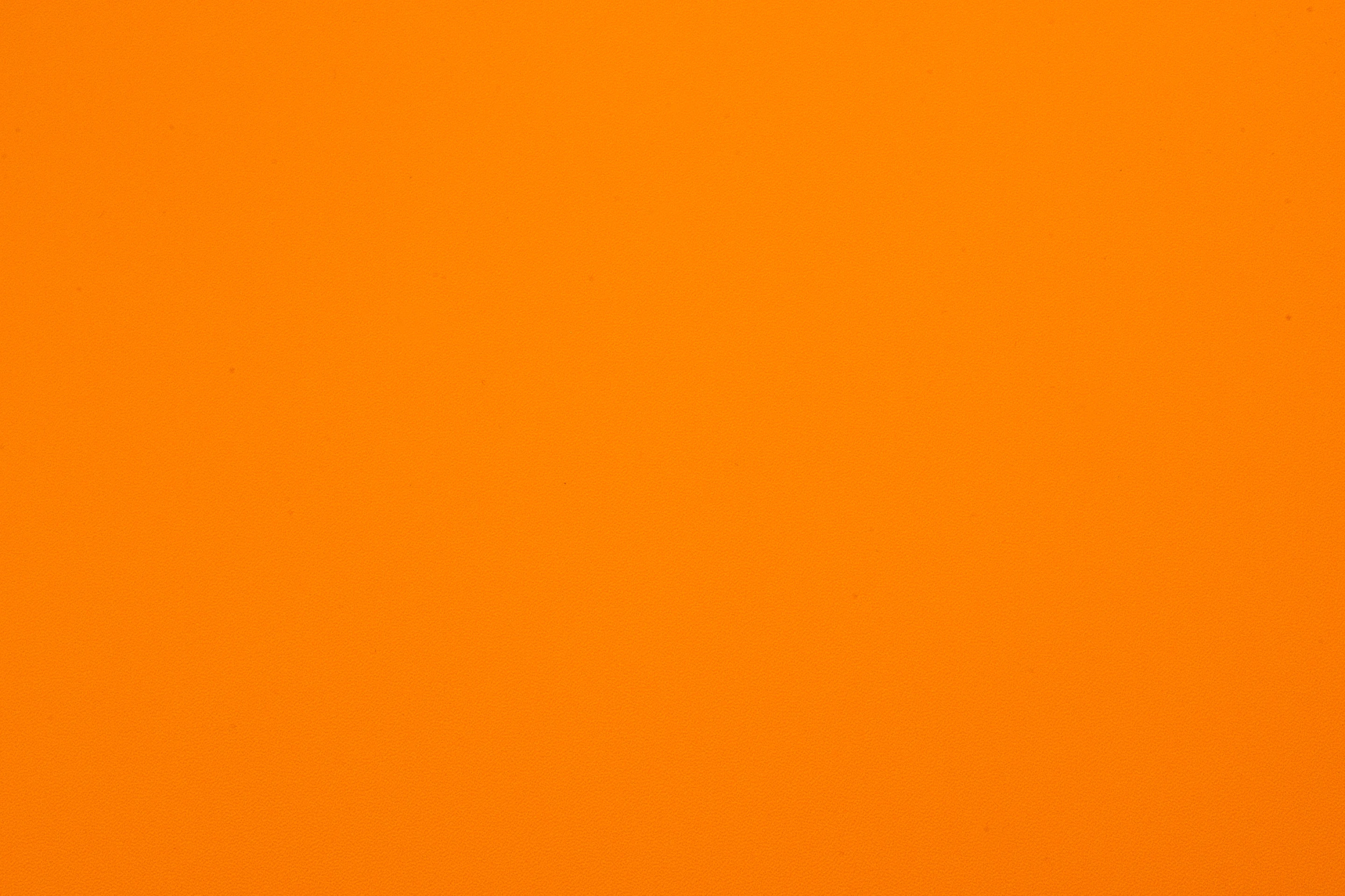 SHAMOY 1,80 CONNECTION FANTA 630669