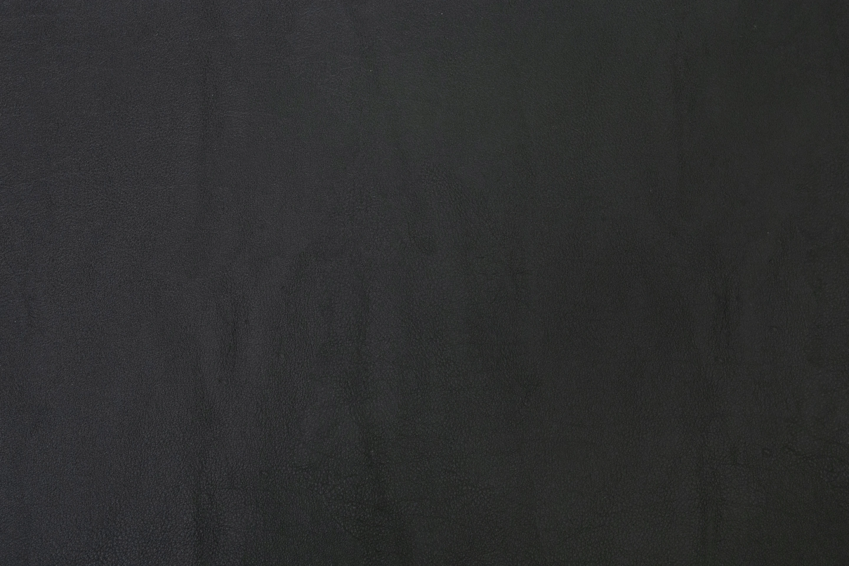 SHAMOY 1,50 NEW LOGAN PRETO 199999