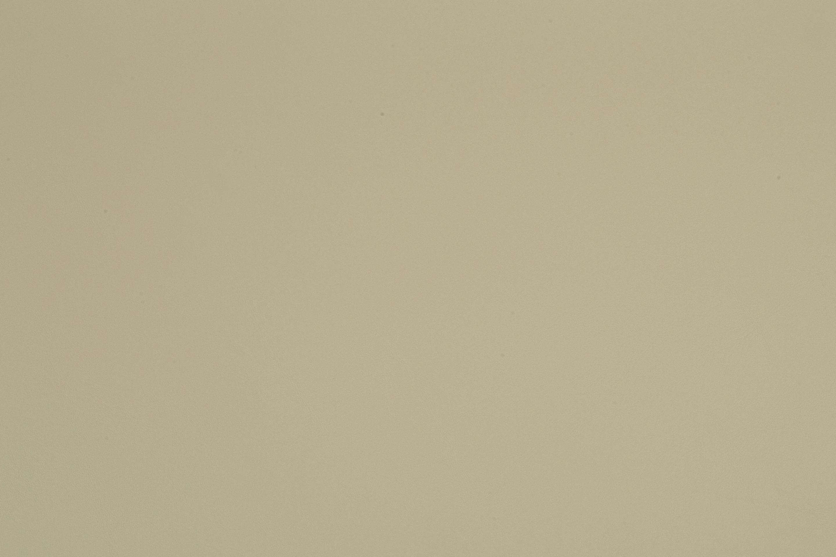 SHAMOY 1,60 NELORE SAVANA 621389