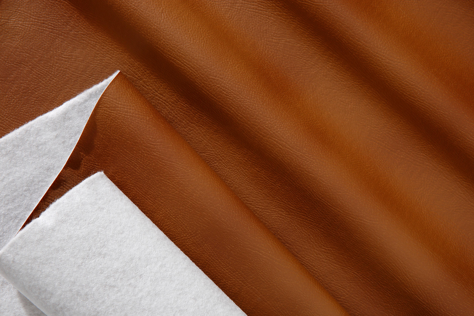 Corano DT Camel Rennes