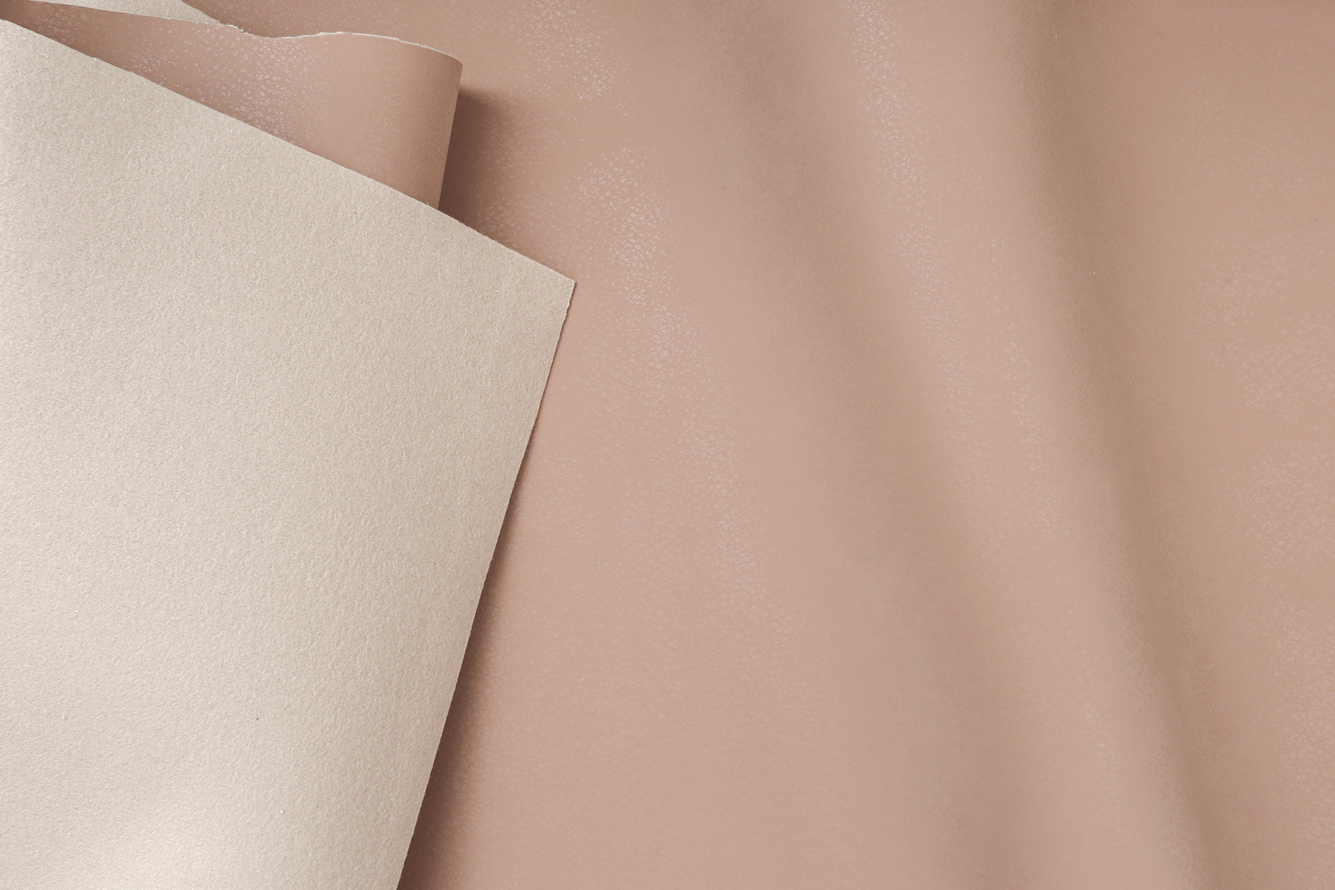 FACTO PREMIUM 1,00 ARGO NUDE