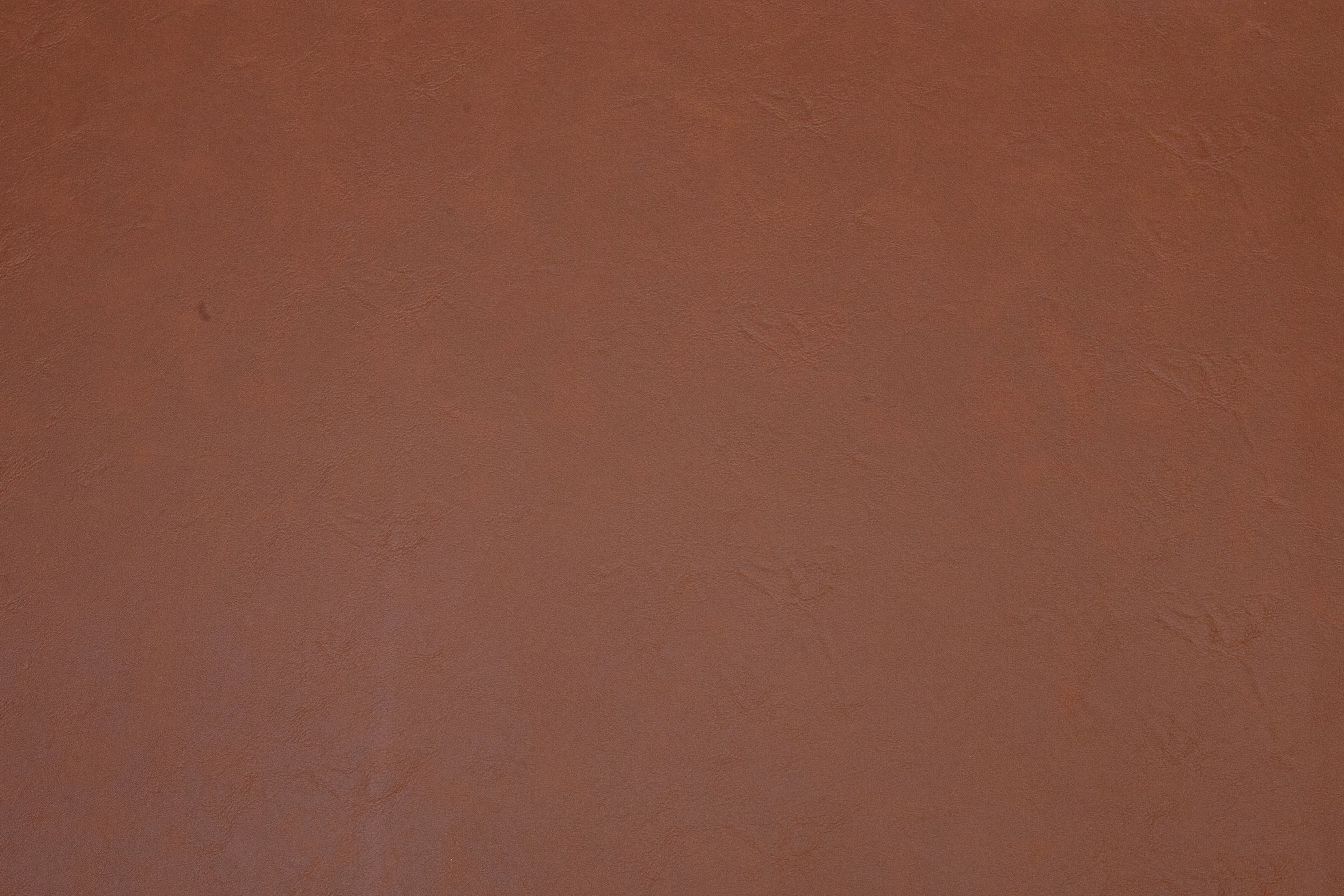 SHAMOY 1,60 SENEGAL CARAMELO 671359