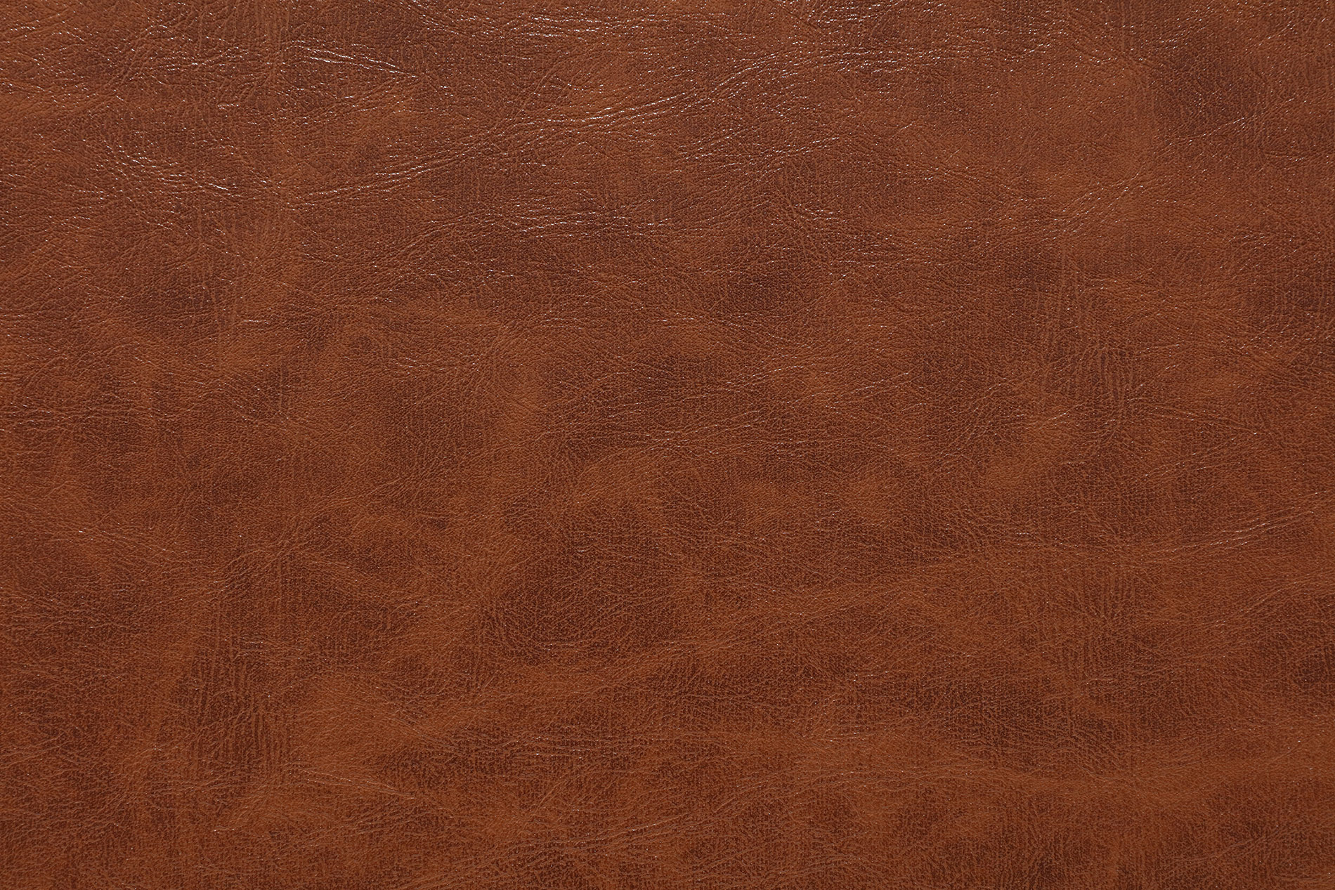 FACTO FIT FRANKFURT MONTANA WHISK