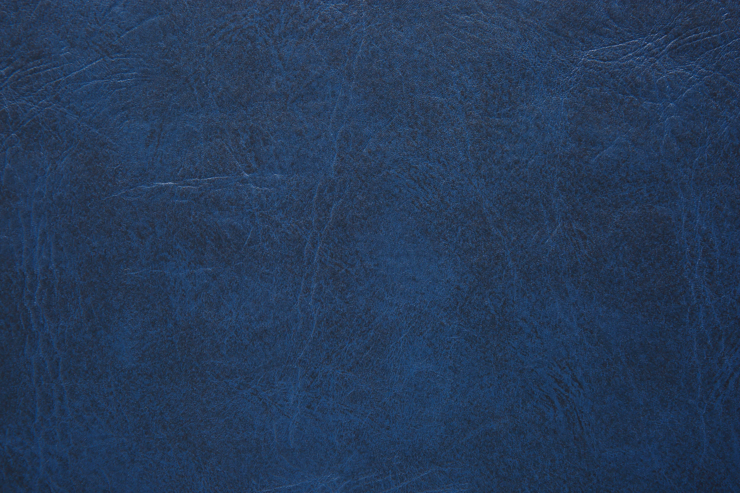 CIPAFLEX ANGUS AZUL ZODIACO